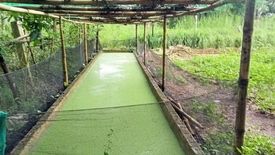 Land for sale in San Lorenzo, Bulacan