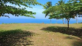 Land for sale in Peñaplata, Davao del Norte