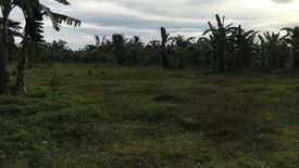 Land for sale in Nangka, Cebu