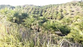 Land for sale in Rizal, Bohol