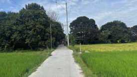 Land for sale in Tinejero, Bulacan