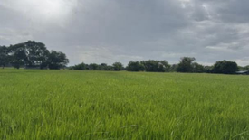 Land for sale in Tinejero, Bulacan