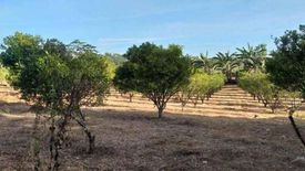 Land for sale in Sapac, Batangas