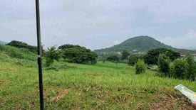 Land for sale in Ayala Greenfield Estates, Maunong, Laguna