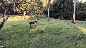 Land for sale in Tugbok, Davao del Sur