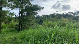 Land for sale in Iruhin West, Cavite