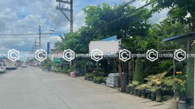 Land for rent in Guevarra, Tarlac