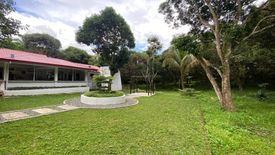 Land for sale in Tamiao, Cebu