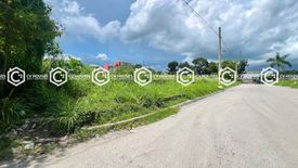 Land for rent in Cabalitian, Pangasinan