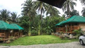 4 Bedroom Villa for sale in Bacong, Aurora