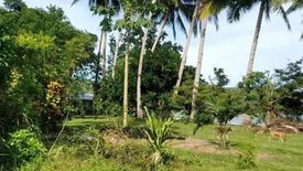 Land for sale in Aporawan, Palawan
