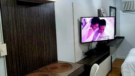 1 Bedroom Hotel / Resort for rent in Celadon Park, Santa Cruz, Metro Manila near LRT-1 Blumentritt