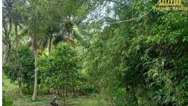 Land for sale in Santo Niño, Davao del Norte