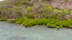 Land for sale in Bulalacao, Palawan