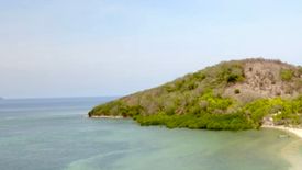 Land for sale in Bulalacao, Palawan