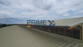 Warehouse / Factory for rent in Alemania, Nueva Ecija