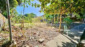 Land for sale in New Alabang Village, Metro Manila