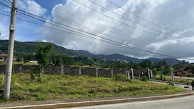 Land for sale in Poblacion, Benguet