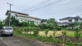 Land for sale in Moonwalk, Metro Manila
