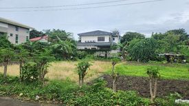 Land for sale in Moonwalk, Metro Manila