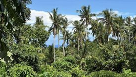 Land for sale in Baylao, Camiguin