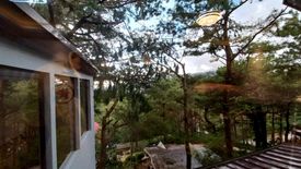 8 Bedroom House for sale in Dontogan, Benguet