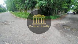 Land for sale in San Miguel, Davao del Norte