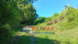 Land for sale in Ponglo-Baleg, Pangasinan