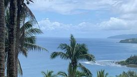 Land for sale in Malapad, Quezon