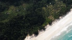 Land for sale in Puerto Princesa, Dinagat Islands