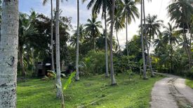 Land for sale in Adlawan, Bohol