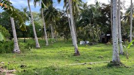 Land for sale in Adlawan, Bohol