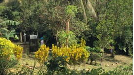 Land for sale in Iruhin West, Cavite