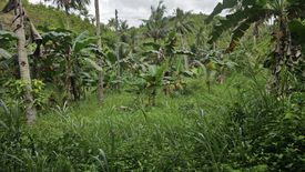 Land for sale in Olango, Cebu