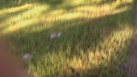 Land for sale in Laiya-Ibabao, Batangas