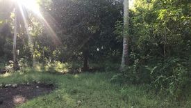 Land for sale in Laiya-Ibabao, Batangas