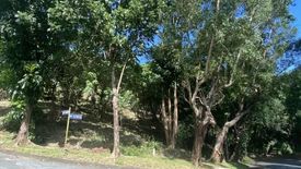 Land for sale in San Roque, Rizal