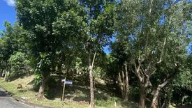 Land for sale in San Roque, Rizal