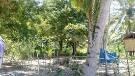 Land for sale in Decabobo, Palawan