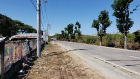 Land for sale in Laiya-Aplaya, Batangas