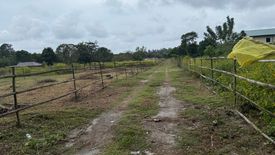 Land for sale in Sindol, Zambales