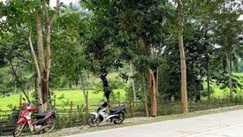 Land for sale in Dumarao, Palawan