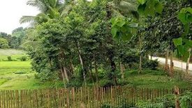 Land for sale in Dumarao, Palawan