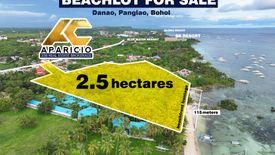 Land for sale in Danao, Bohol