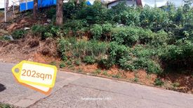 Land for sale in San Luis Village, Benguet