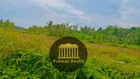 Land for sale in Apokon, Davao del Norte