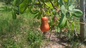 Land for sale in Lajala, Palawan