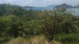 Land for sale in Lajala, Palawan