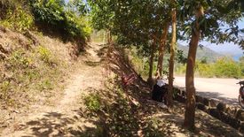 Land for sale in Decabobo, Palawan