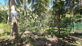 Land for sale in Ipil, Cebu